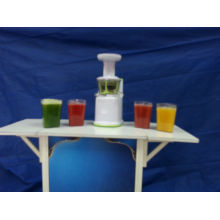 2013 new juicer vegetable with CE,GS,ROHS